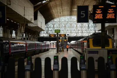 DSC_2514 (Large).JPG